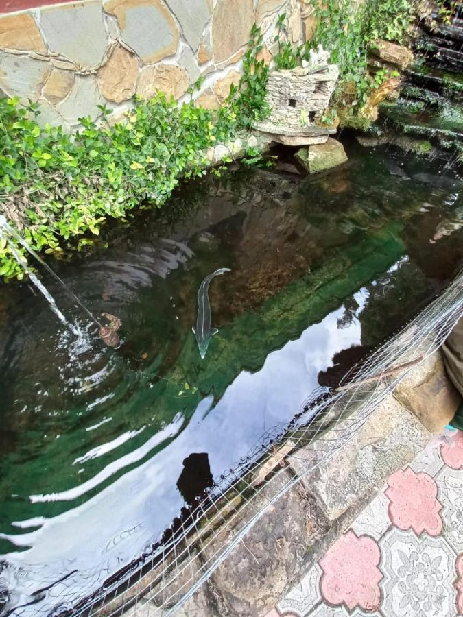 Mechta Guest House Gantiadi Dış mekan fotoğraf