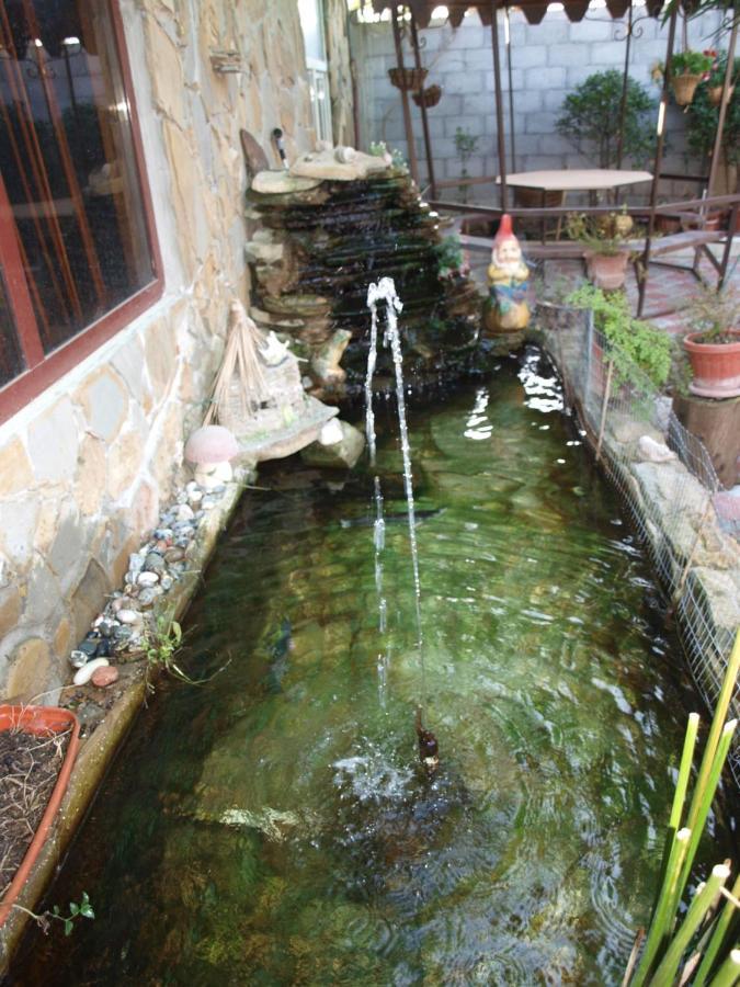 Mechta Guest House Gantiadi Dış mekan fotoğraf